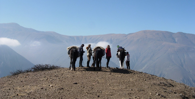 K02 Argentine S 4.jpg